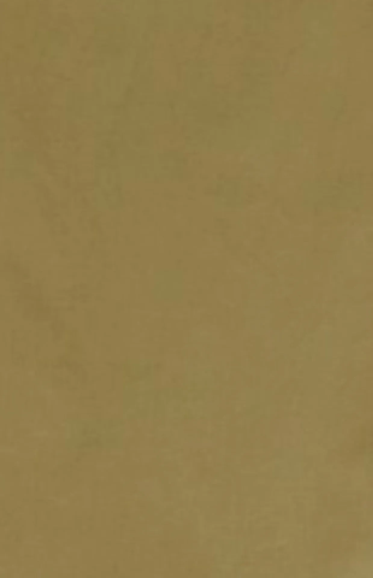 OLIVE Smocked Top - Poplin