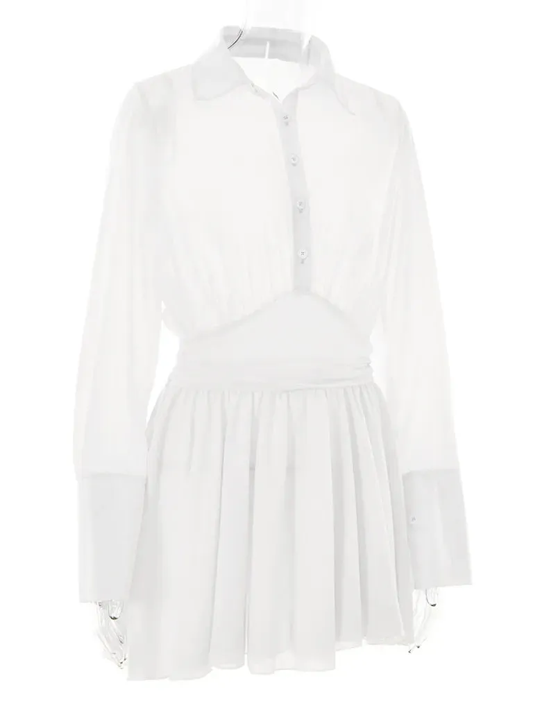 Sheer Mini Shirt Dress: See-Through & Flowy Skirt